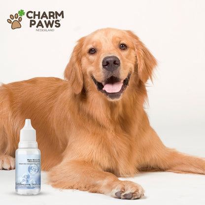 PetzyPlaza™ Coat-Refreshing Shampoo Drops