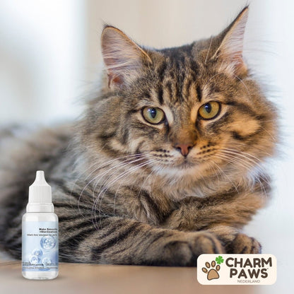 PetzyPlaza™ Coat-Refreshing Shampoo Drops